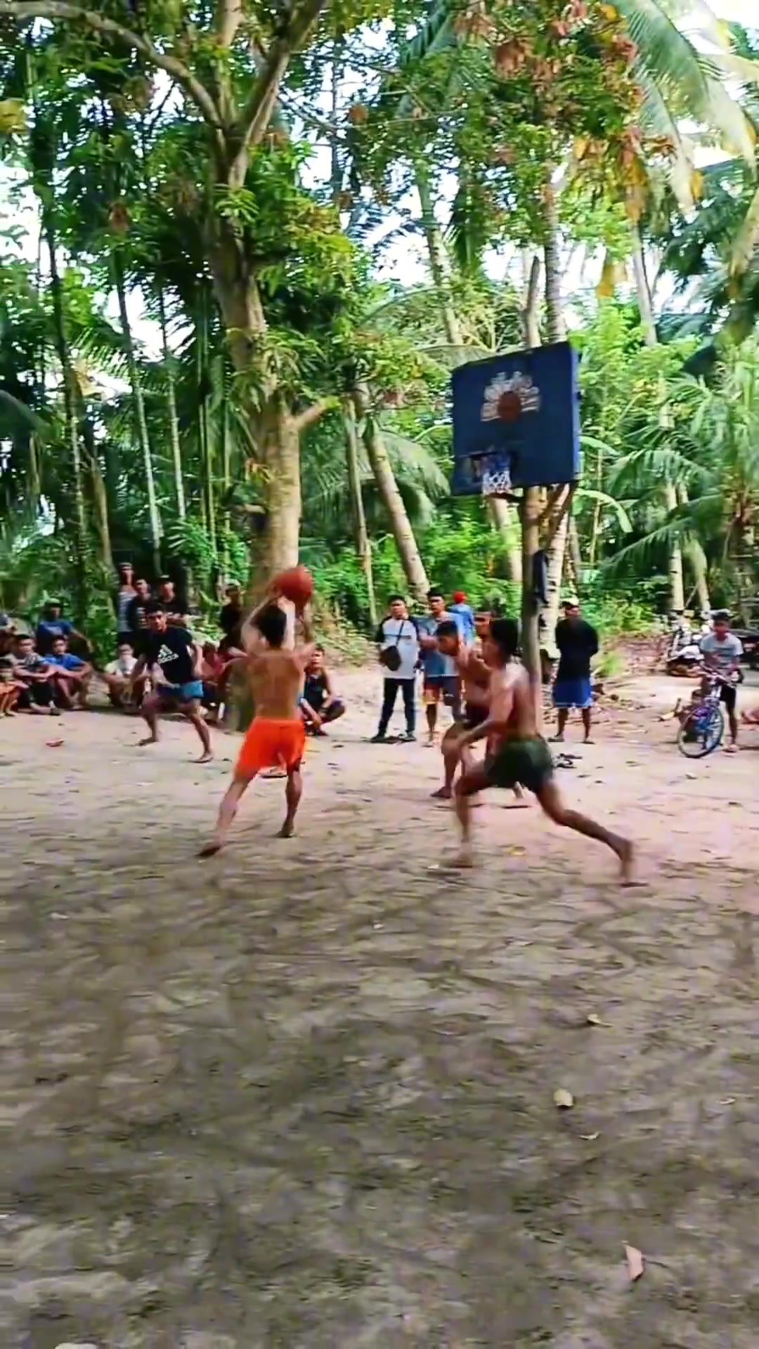 我承認我以前對籃球?qū)挂粺o所知