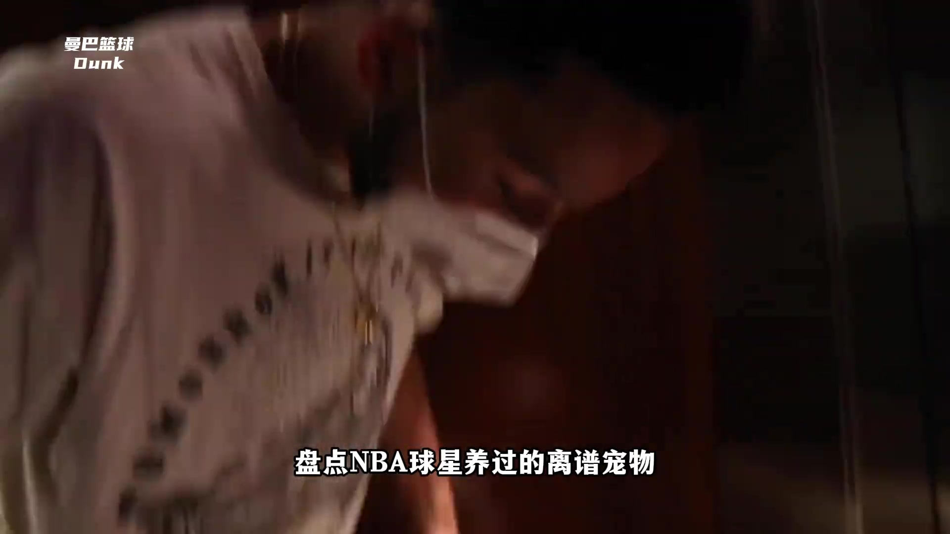 有人養(yǎng)豬有人養(yǎng)駱駝！盤點NBA球員奇葩寵物！還是阿里納斯最牛