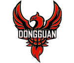 東莞新彤盛女籃